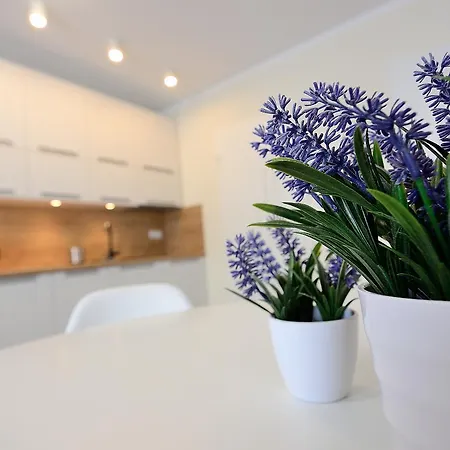 Apartment Victus Apartamenty, Cztery Oceany